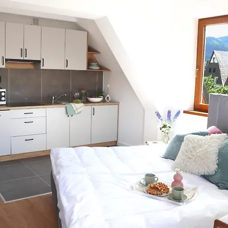 Pardalowka 50 * Zakopane