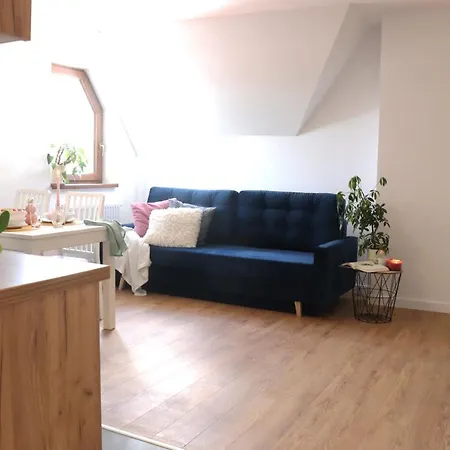 Pardalowka 50 * Zakopane